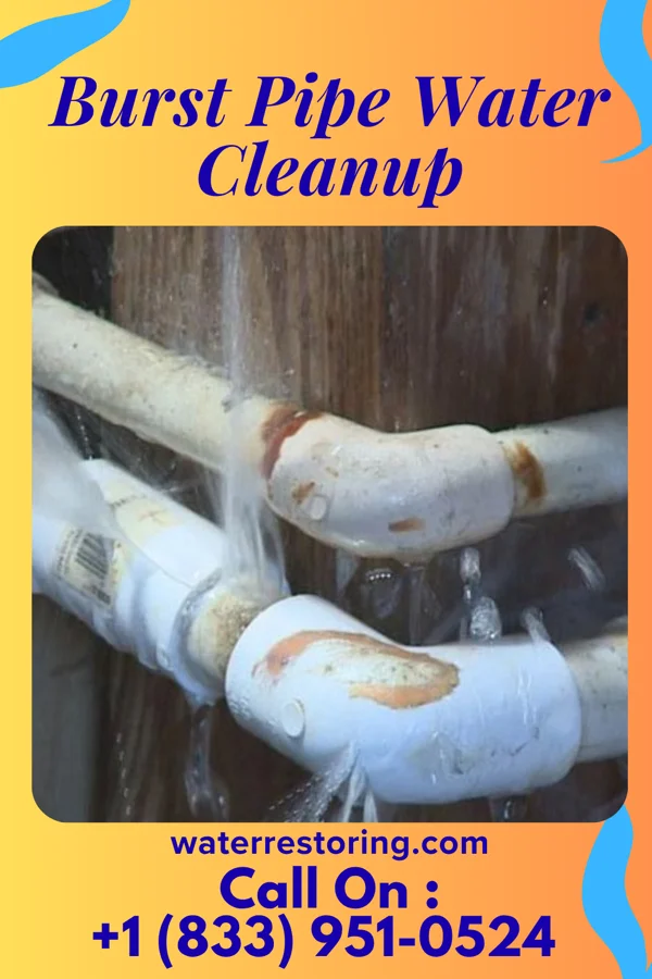 Burst Pipe Water Cleanup in Dudley, PA