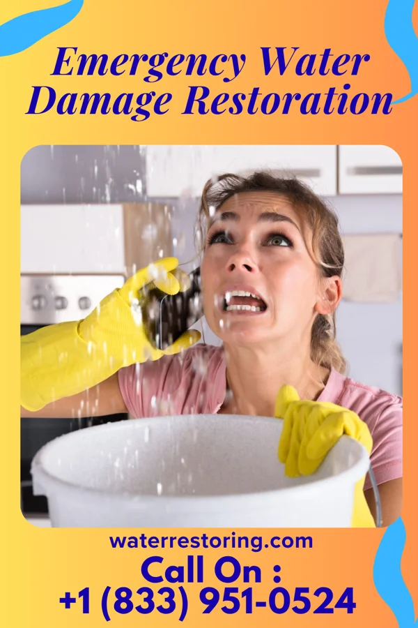 Emergency Water Damage Restoration in Dudley, PA
