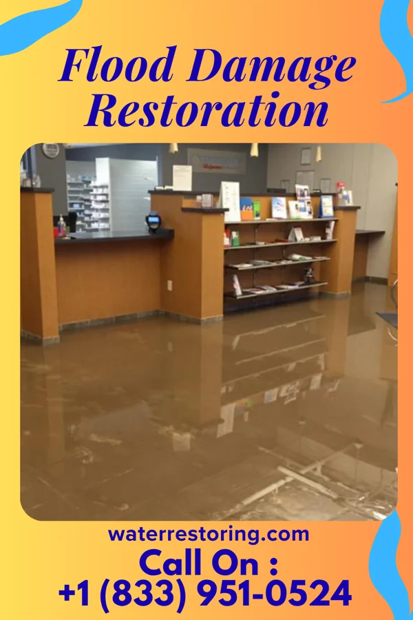 Flood Damage Restoration in Dudley, PA
