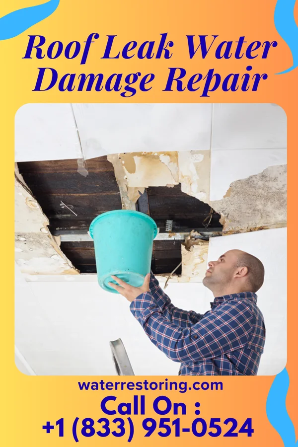 Roof Leak Water Damage Repair in Dudley, PA