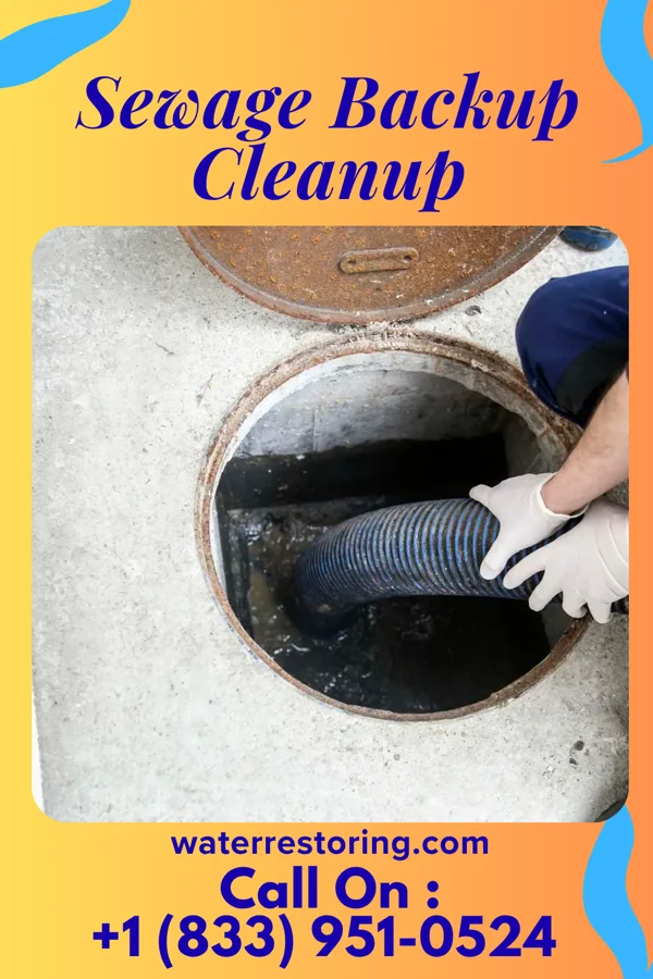 Sewage Backup Cleanup in Dudley, PA