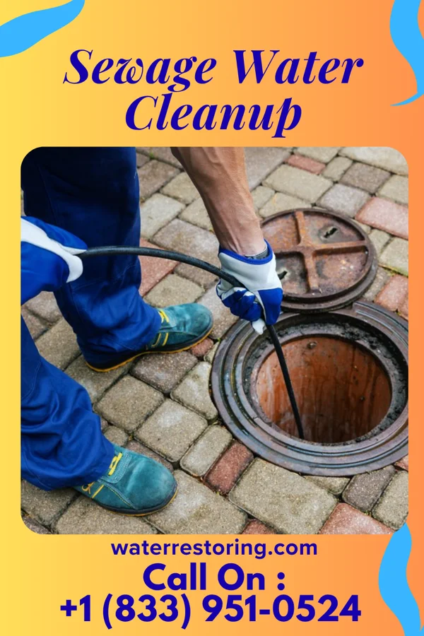 Sewage Water Cleanup in Dudley, PA
