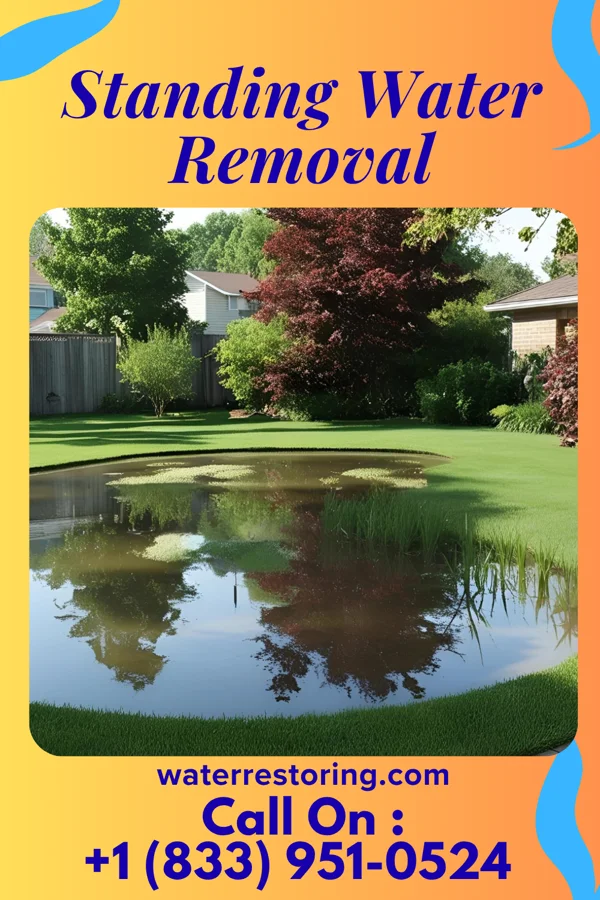 Standing Water Removal in Dudley, PA